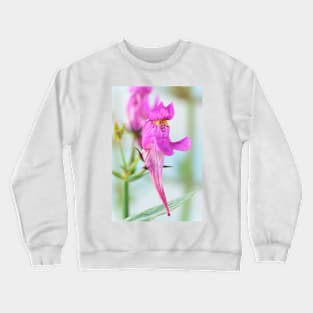 Linaria triornithophora  Three birds toadflax Crewneck Sweatshirt